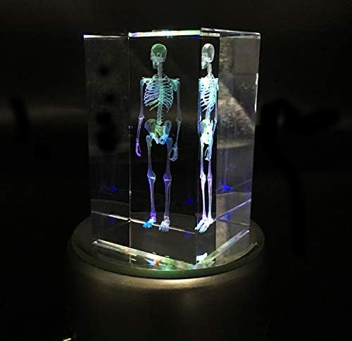 3D Human Skeleton Anatomical Model Paperweight(Laser Etched) in Crystal Glass Cube Science Anatomy Gift (No Included LED Base)(3.1x2x2 inch) - Image 4
