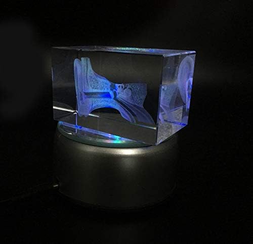 3D Human Ear Anatomical Model Paperweight(Laser Etched) in Crystal Glass Cube Science Anatomy Gift (No Included LED Base) - Image 4