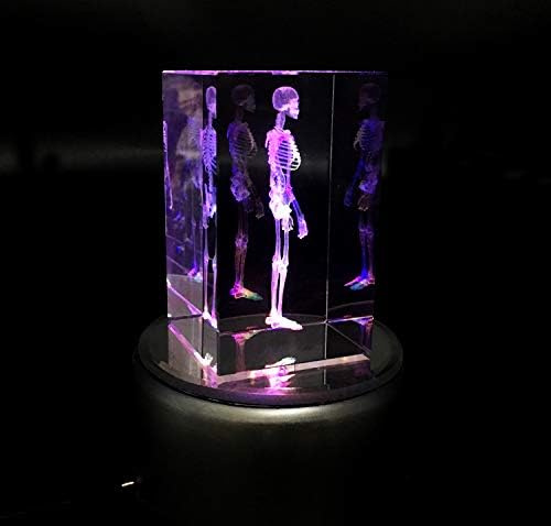 3D Human Skeleton Anatomical Model Paperweight(Laser Etched) in Crystal Glass Cube Science Anatomy Gift (No Included LED Base)(3.1x2x2 inch) - Image 5