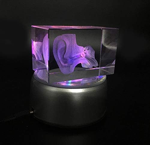3D Human Ear Anatomical Model Paperweight(Laser Etched) in Crystal Glass Cube Science Anatomy Gift (No Included LED Base) - Image 7