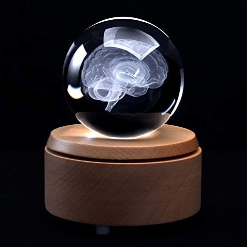 3D Human Brain Anatomical Model Paperweight(Laser Etched) in Crystal Glass Ball Science Gift (Included LED Base) - Image 2