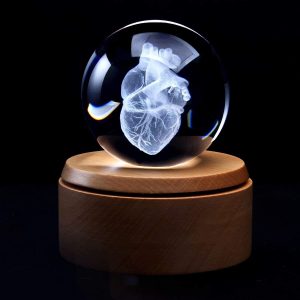 XINDAM 3D Human Heart Anatomical Model Paperweight(Laser Etched) in Crystal Glass Ball Science Gift (Included LED Base)
